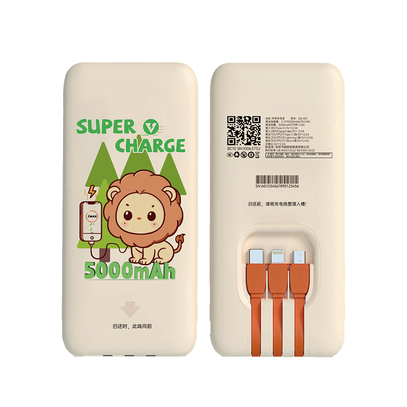 Ordinary power bank