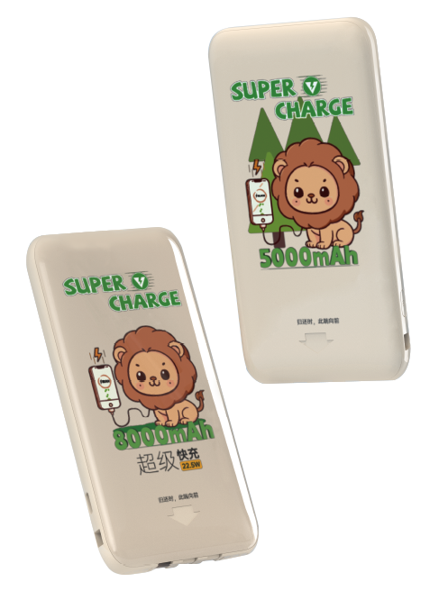 Fast-Charge Shared Power Bank