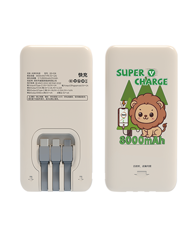 Fast-Charge Shared Power Bank